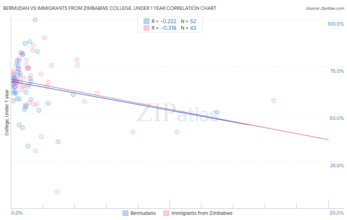 Bermudan vs Immigrants from Zimbabwe College, Under 1 year