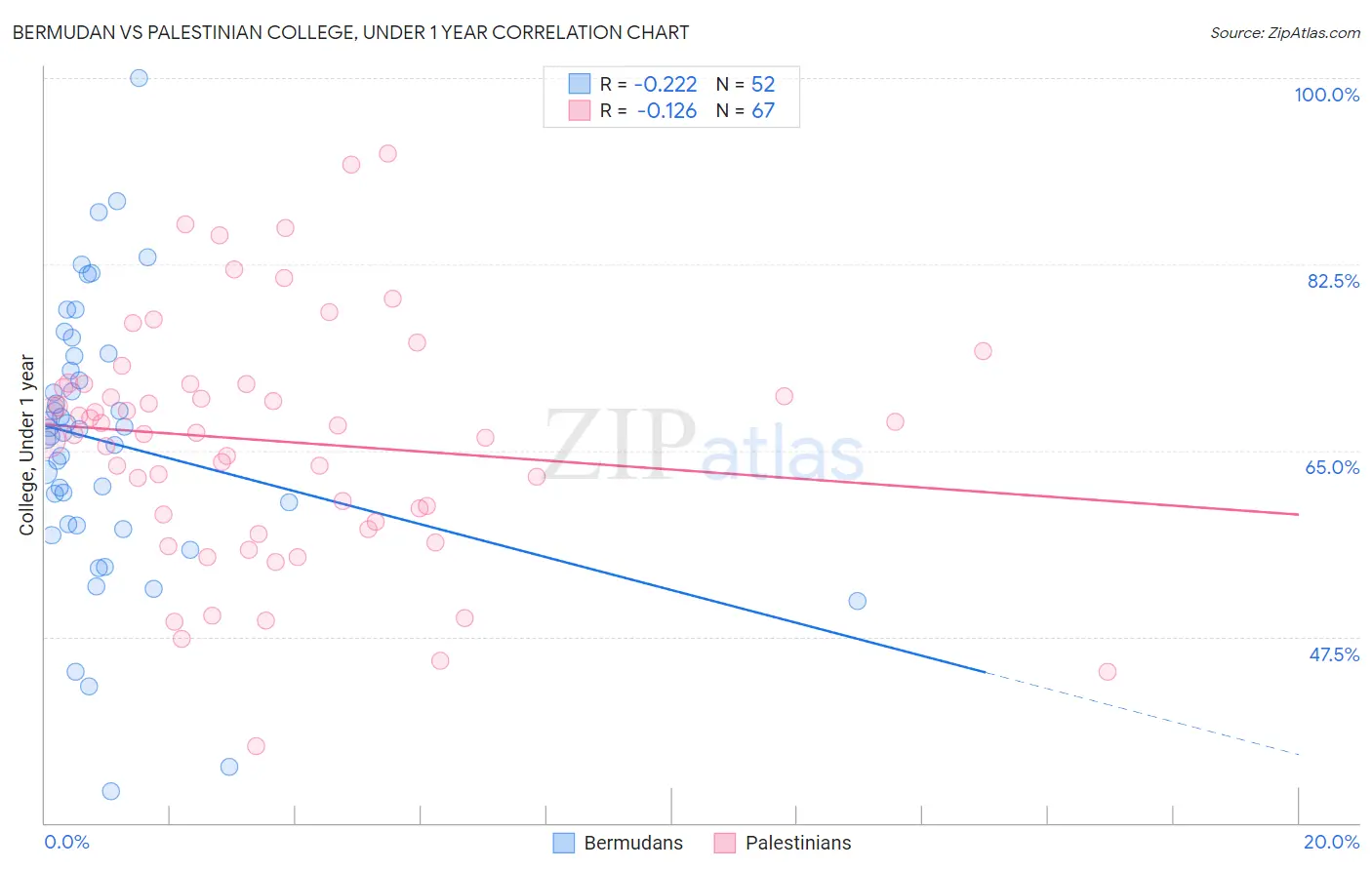 Bermudan vs Palestinian College, Under 1 year