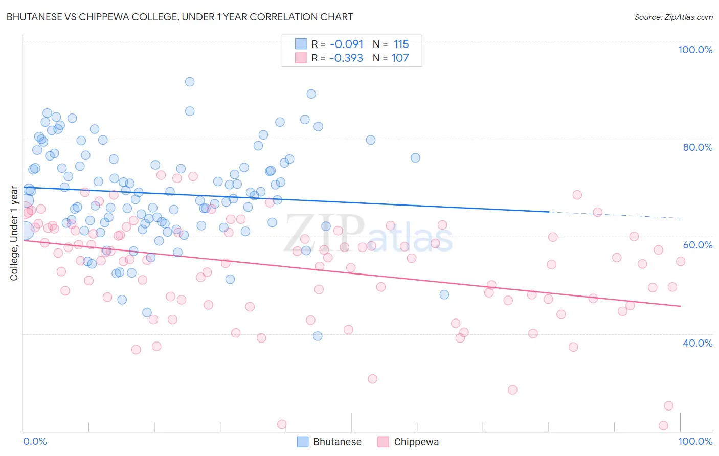 Bhutanese vs Chippewa College, Under 1 year