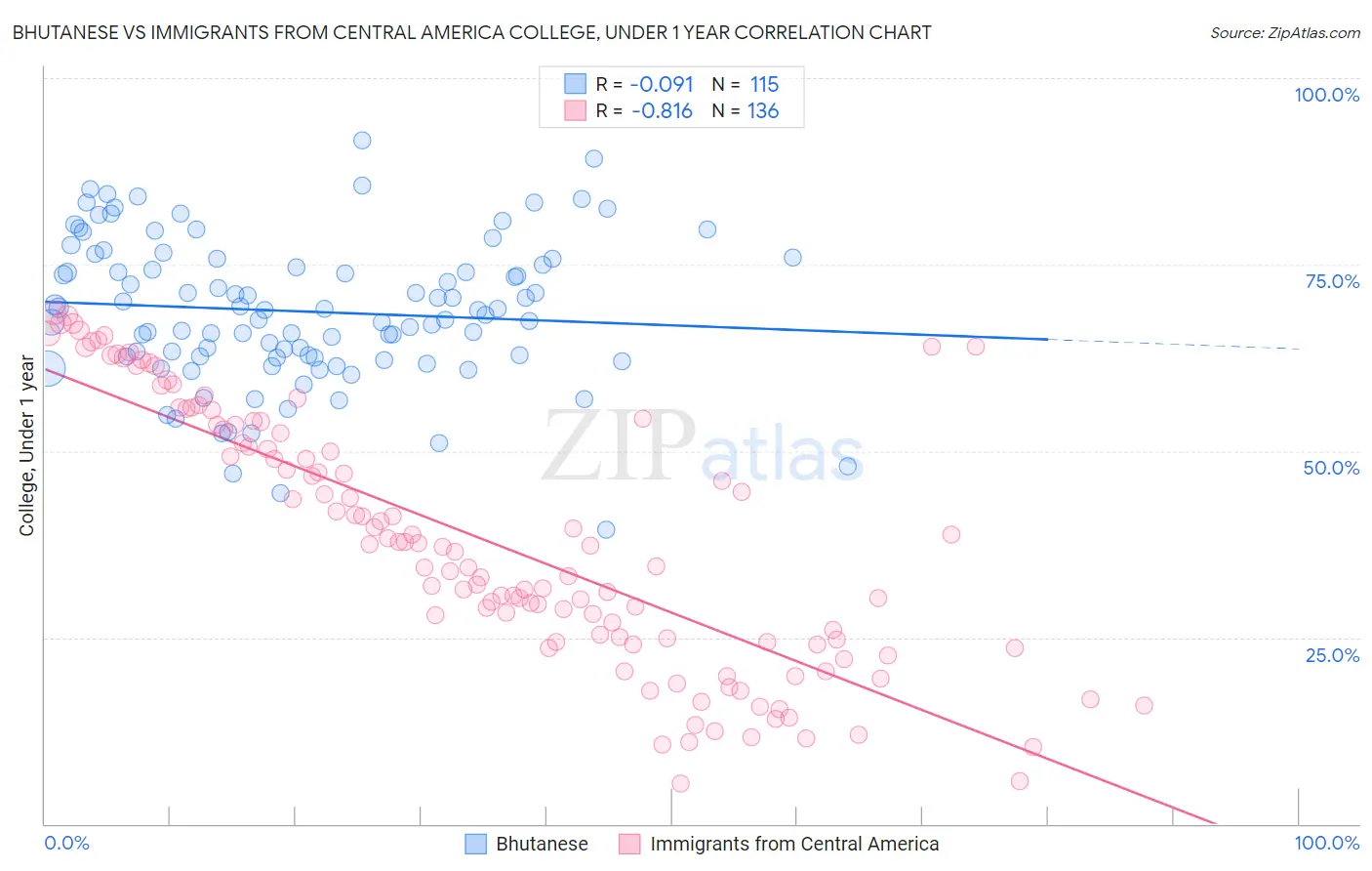 Bhutanese vs Immigrants from Central America College, Under 1 year