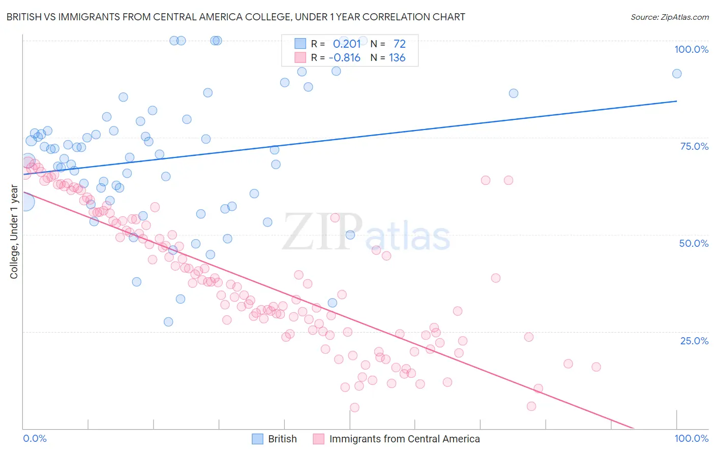 British vs Immigrants from Central America College, Under 1 year