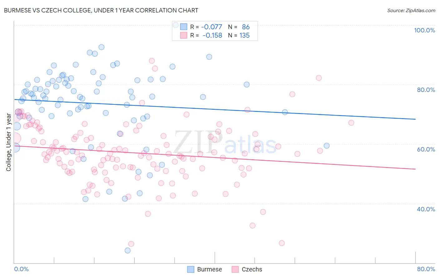 Burmese vs Czech College, Under 1 year