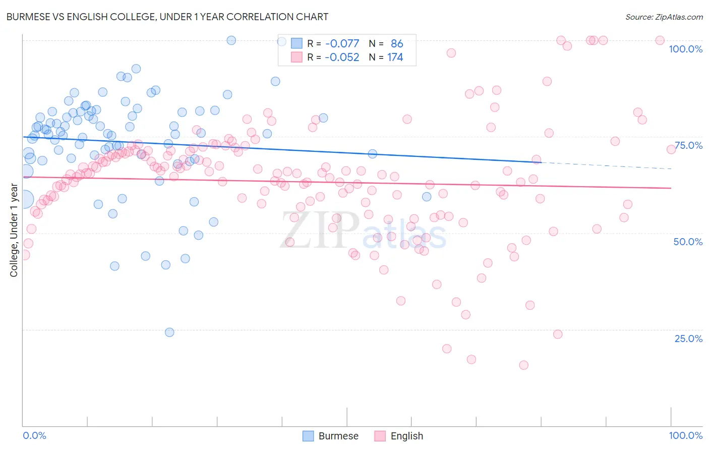 Burmese vs English College, Under 1 year