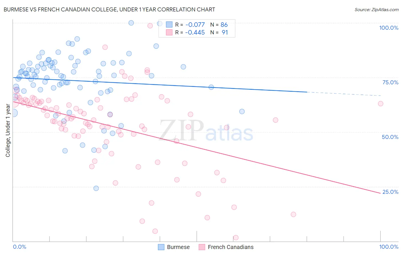 Burmese vs French Canadian College, Under 1 year