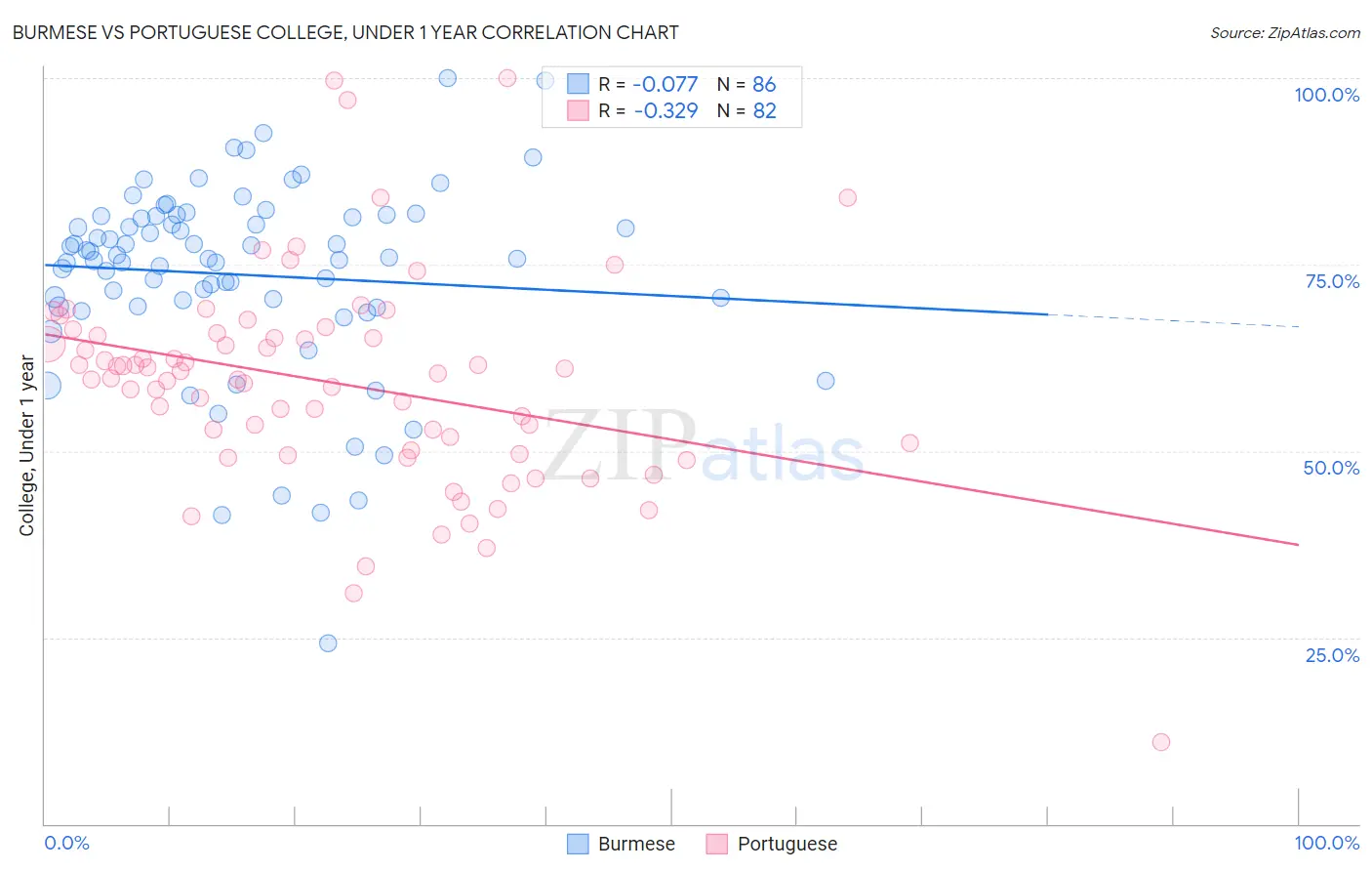 Burmese vs Portuguese College, Under 1 year