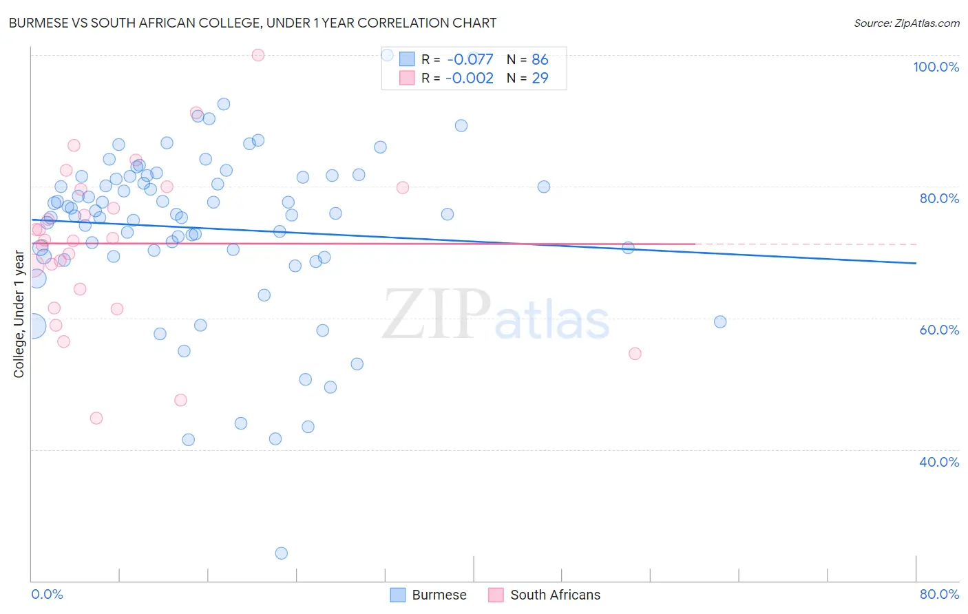 Burmese vs South African College, Under 1 year