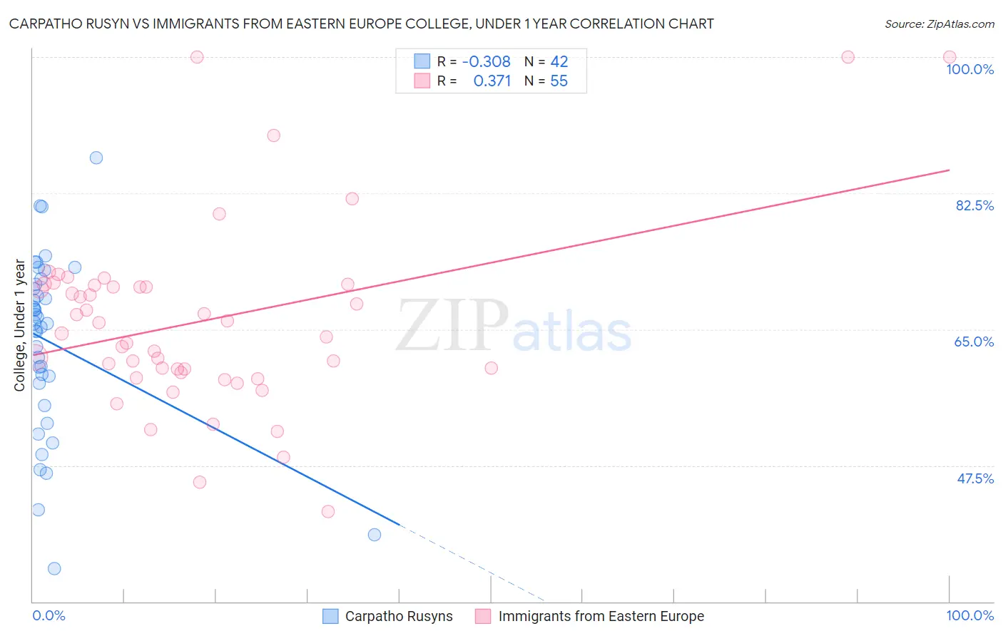 Carpatho Rusyn vs Immigrants from Eastern Europe College, Under 1 year
