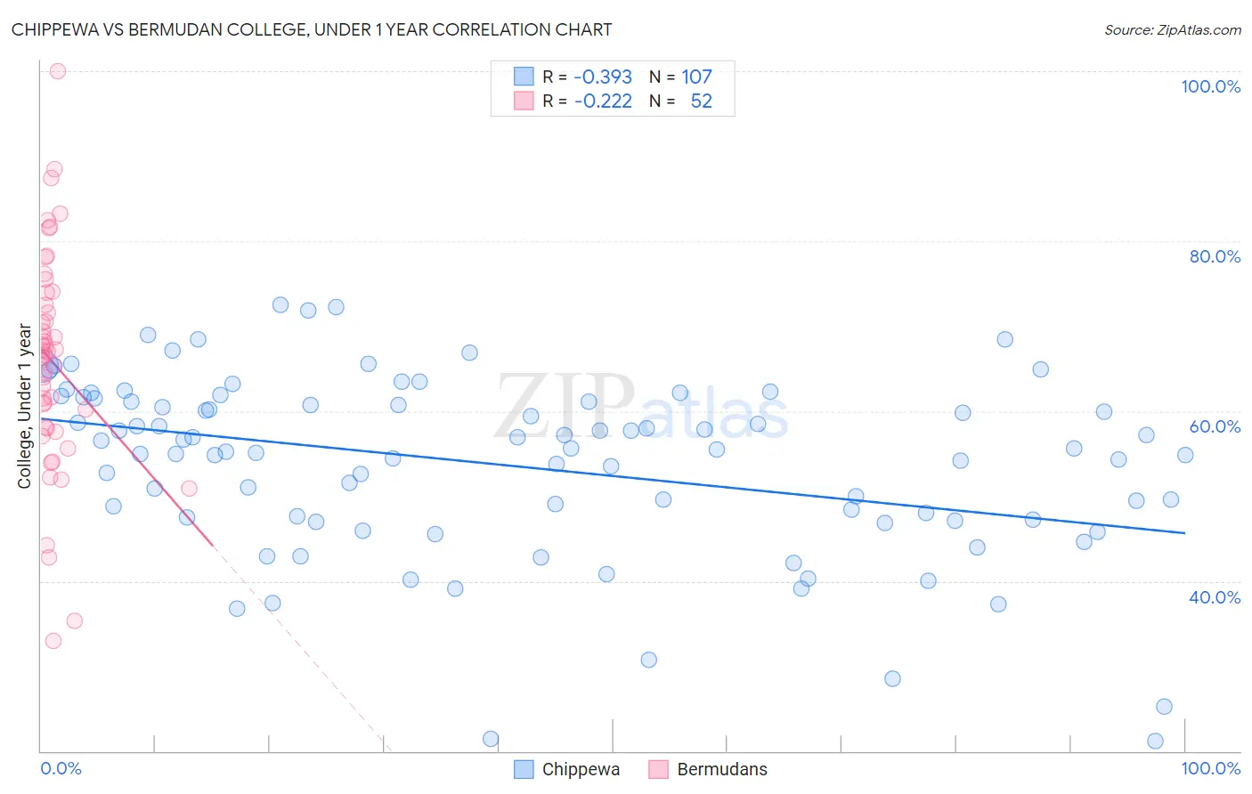 Chippewa vs Bermudan College, Under 1 year