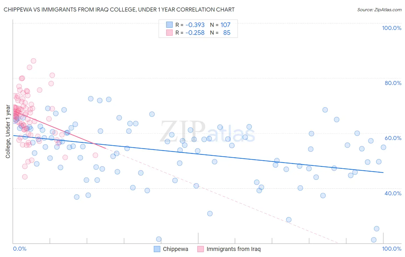 Chippewa vs Immigrants from Iraq College, Under 1 year