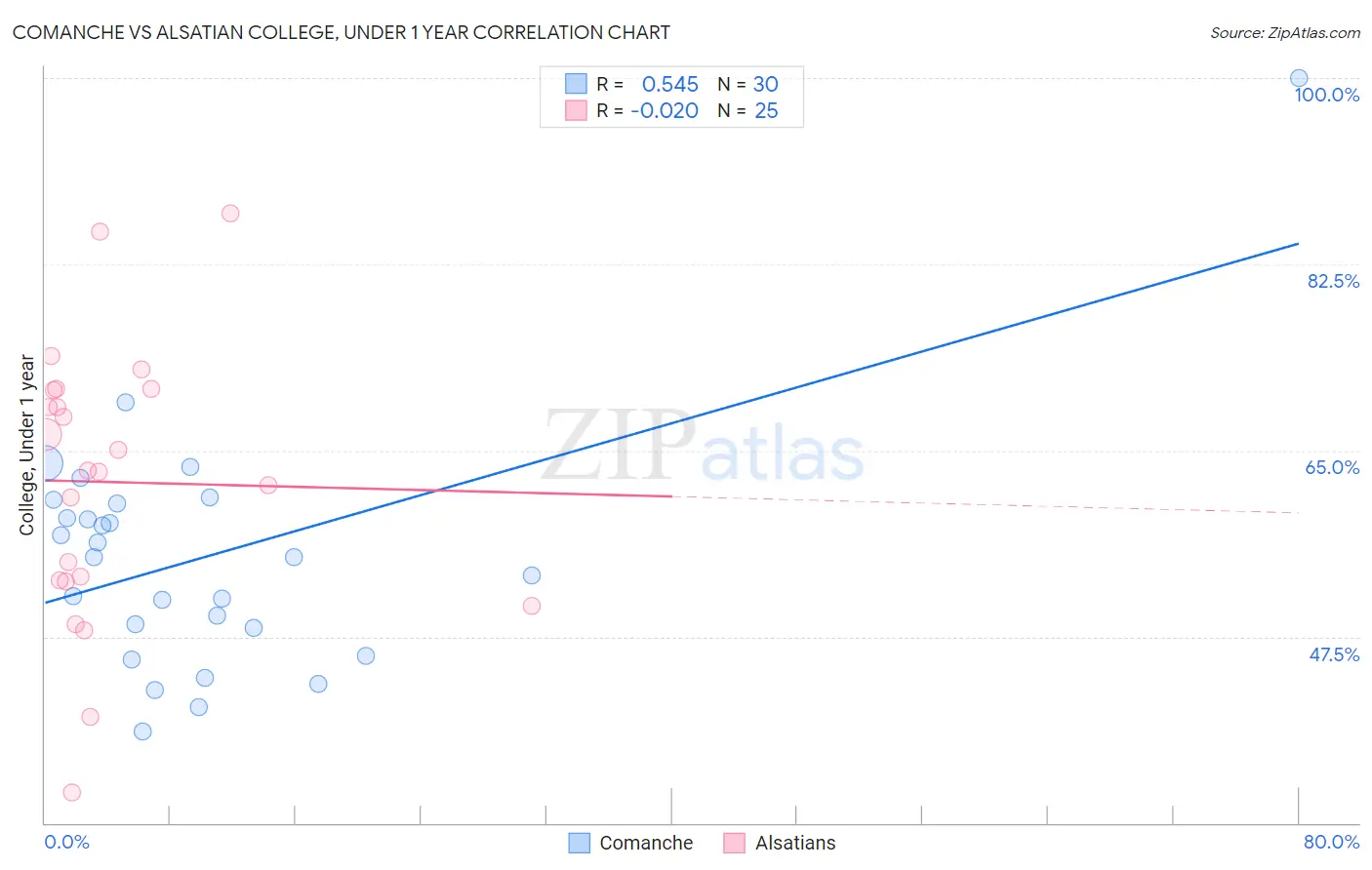 Comanche vs Alsatian College, Under 1 year