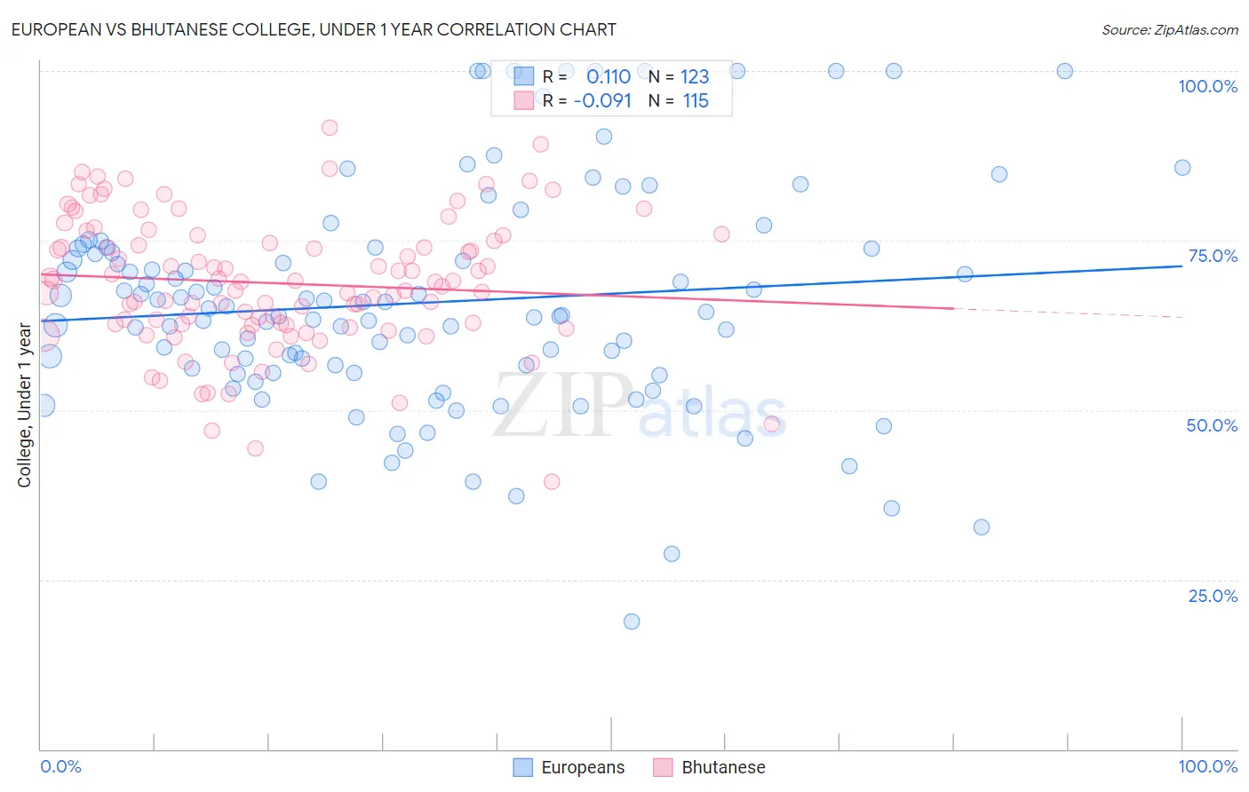 European vs Bhutanese College, Under 1 year