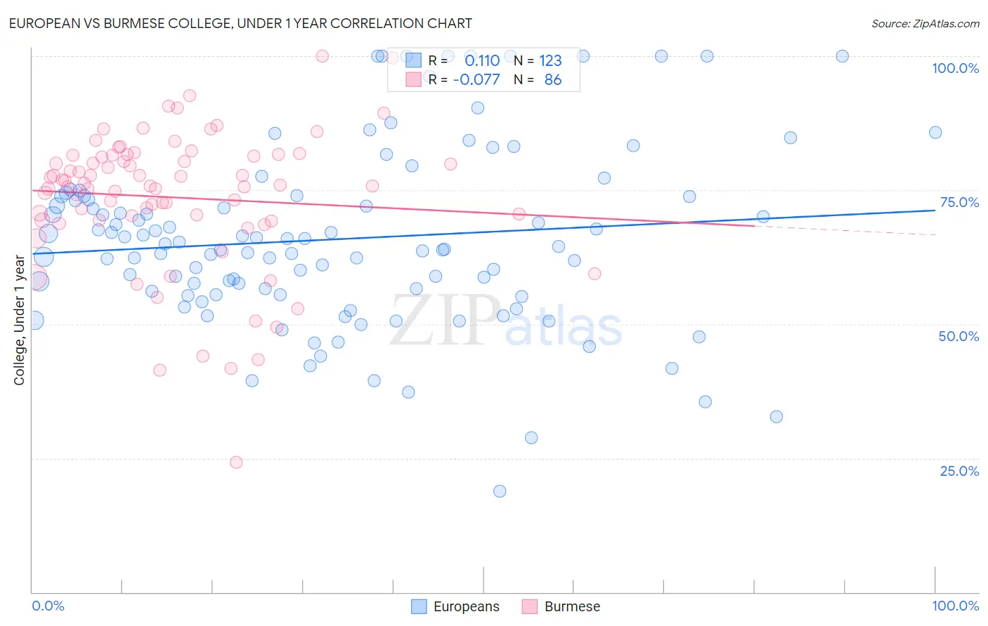 European vs Burmese College, Under 1 year