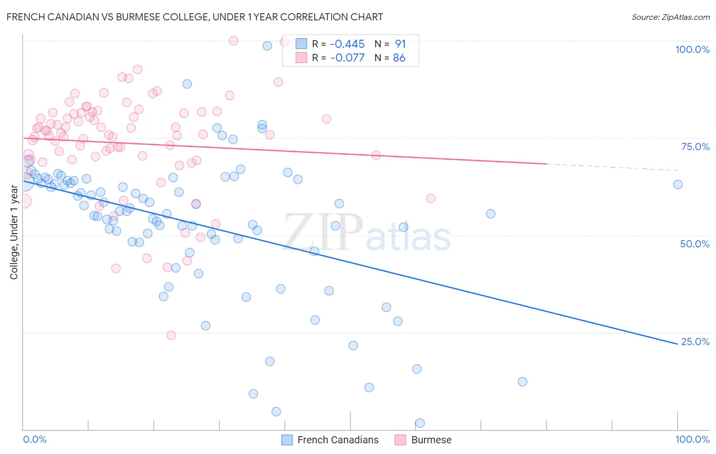 French Canadian vs Burmese College, Under 1 year