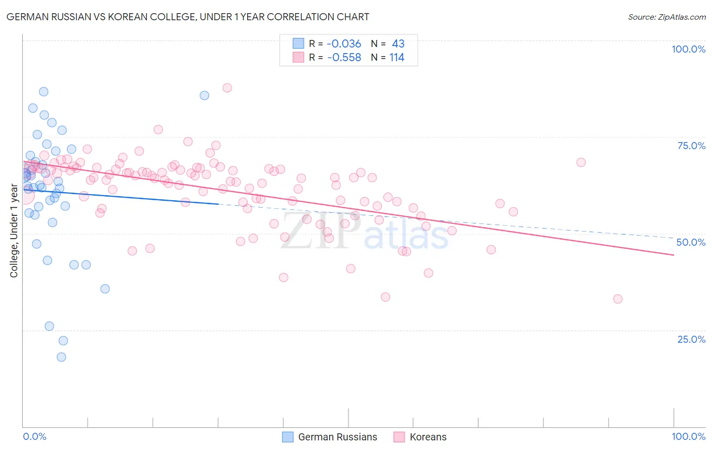 German Russian vs Korean College, Under 1 year