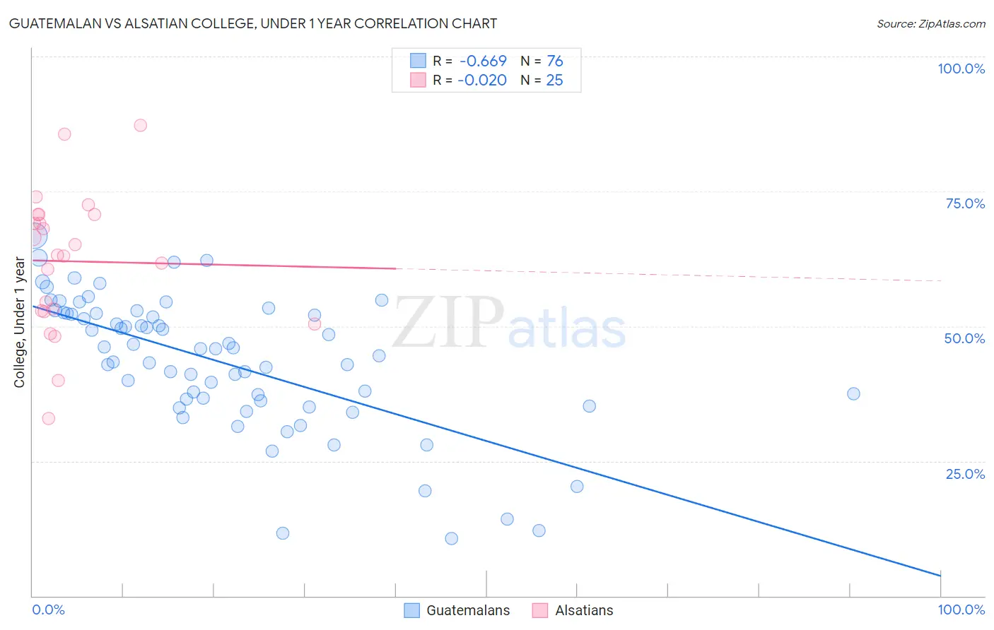 Guatemalan vs Alsatian College, Under 1 year