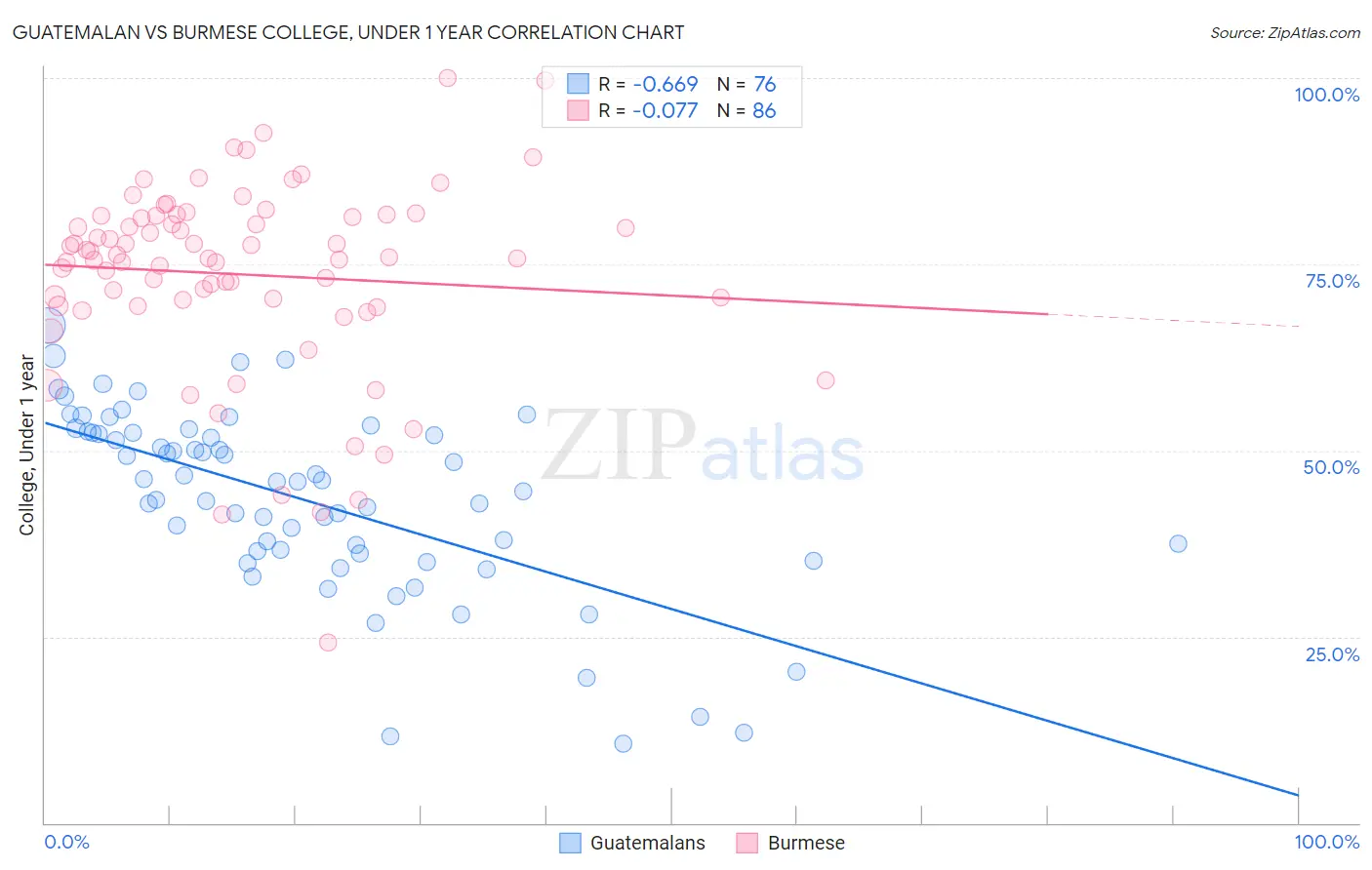 Guatemalan vs Burmese College, Under 1 year