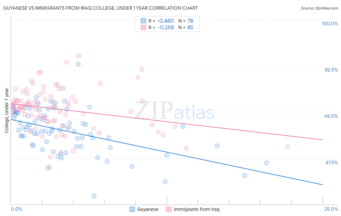 Guyanese vs Immigrants from Iraq College, Under 1 year