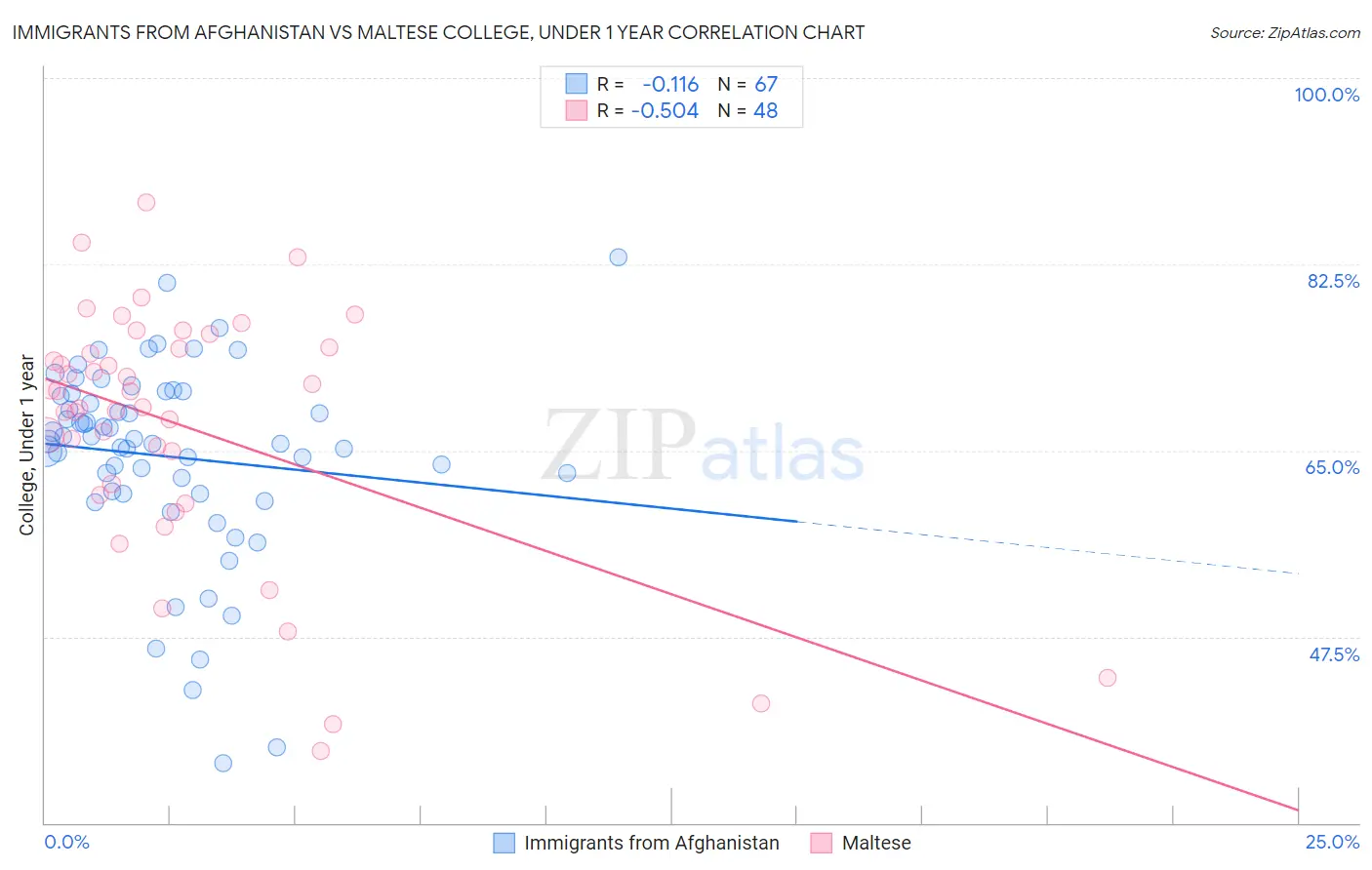 Immigrants from Afghanistan vs Maltese College, Under 1 year