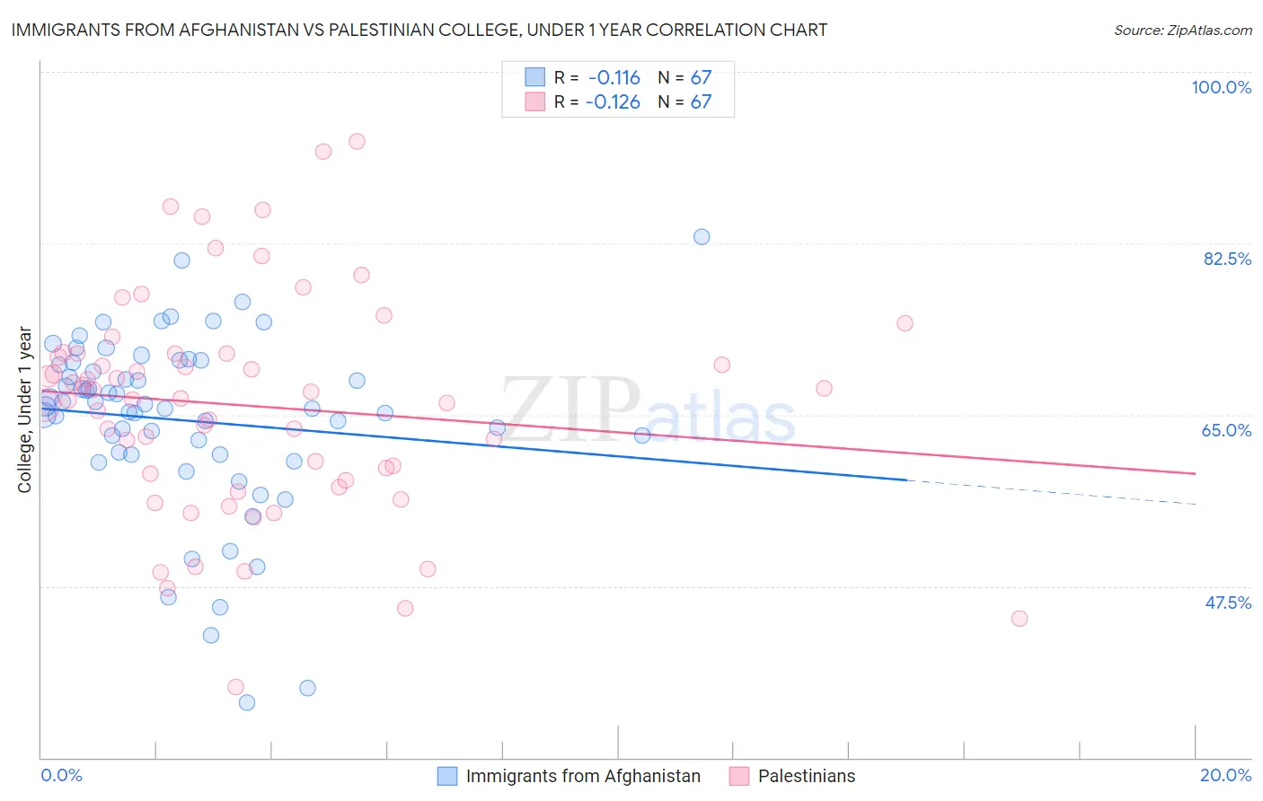 Immigrants from Afghanistan vs Palestinian College, Under 1 year