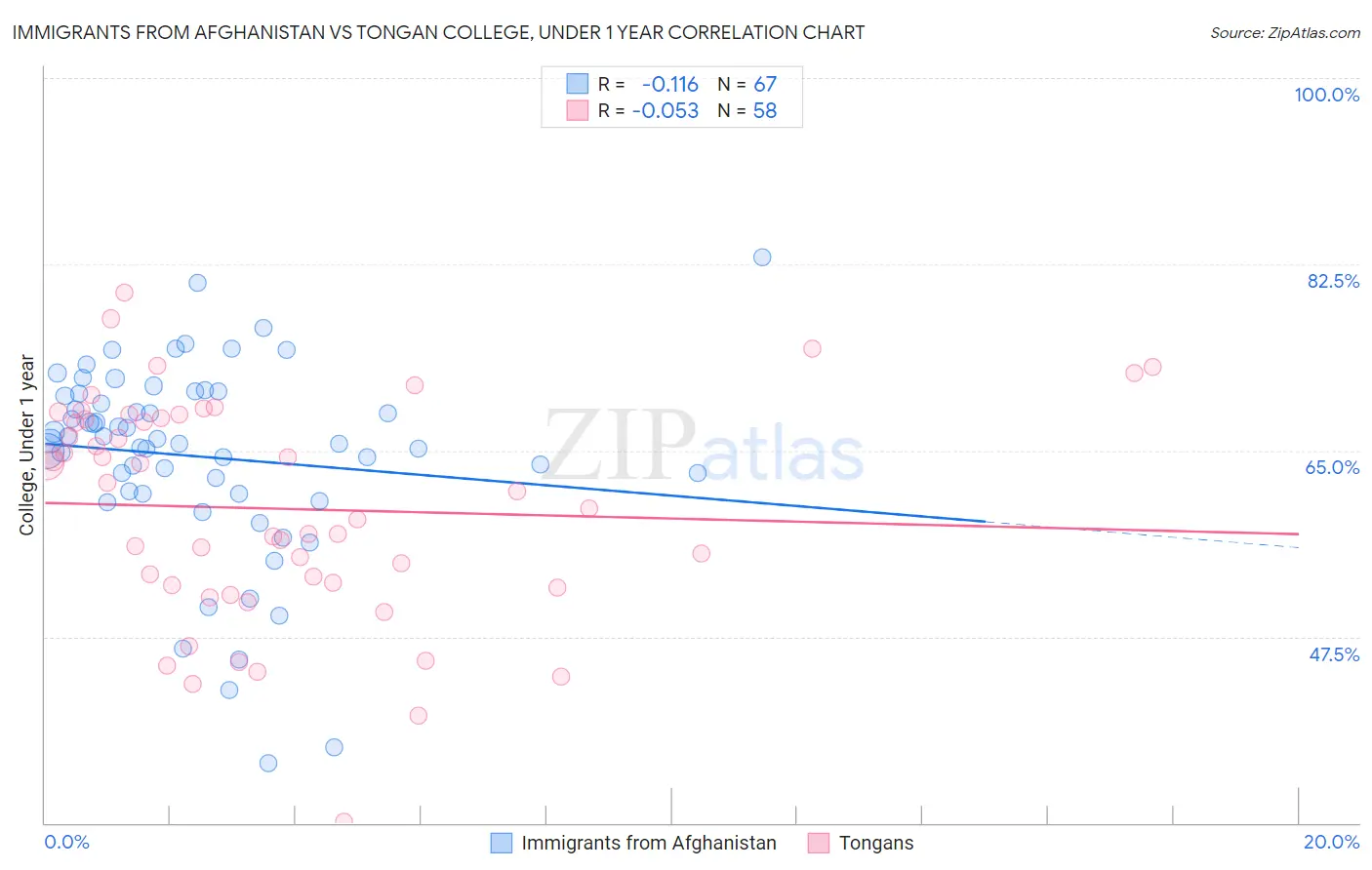 Immigrants from Afghanistan vs Tongan College, Under 1 year