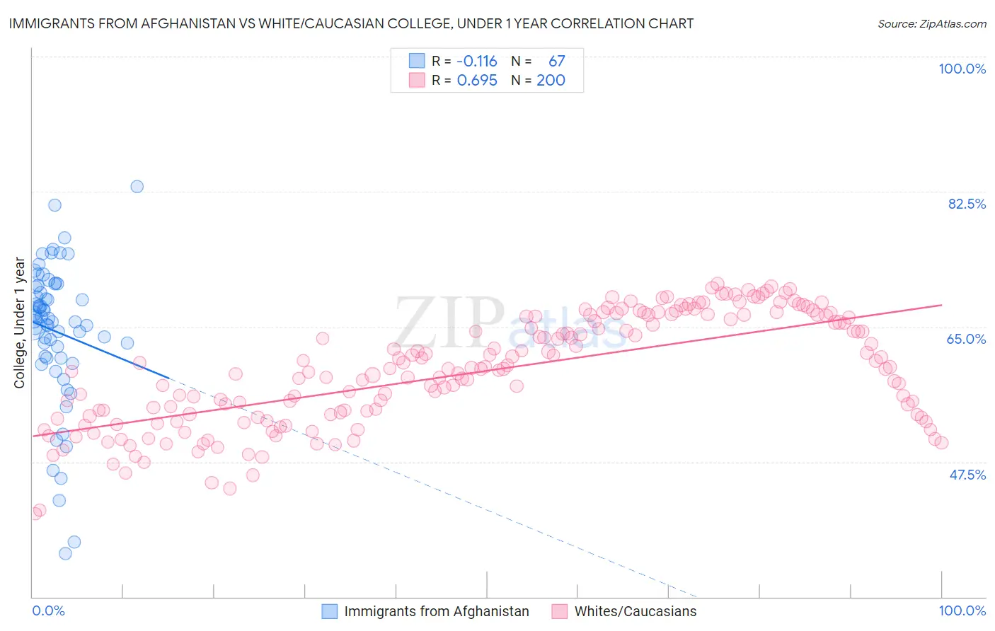 Immigrants from Afghanistan vs White/Caucasian College, Under 1 year