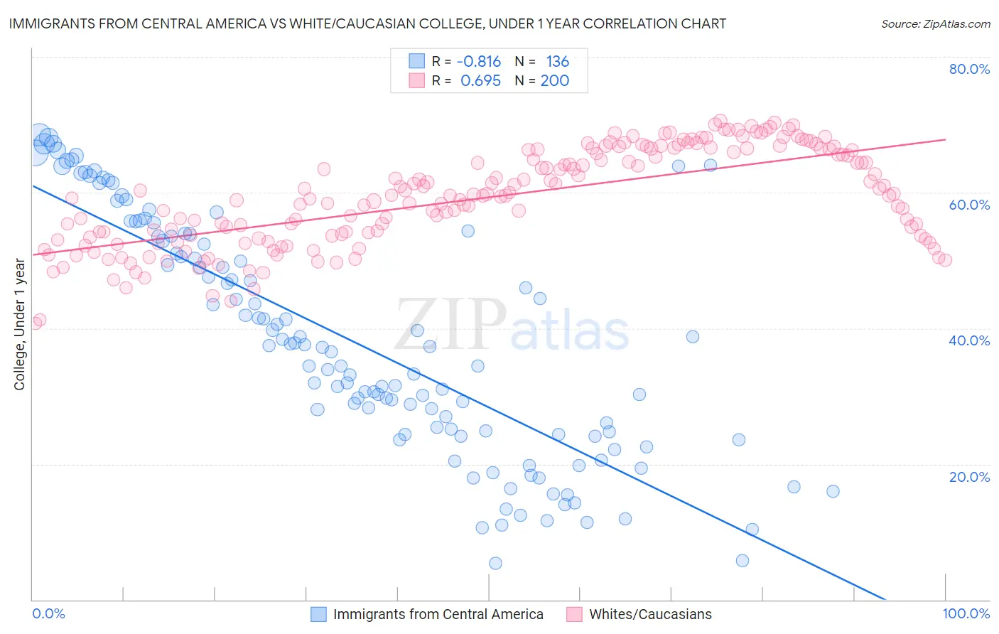 Immigrants from Central America vs White/Caucasian College, Under 1 year