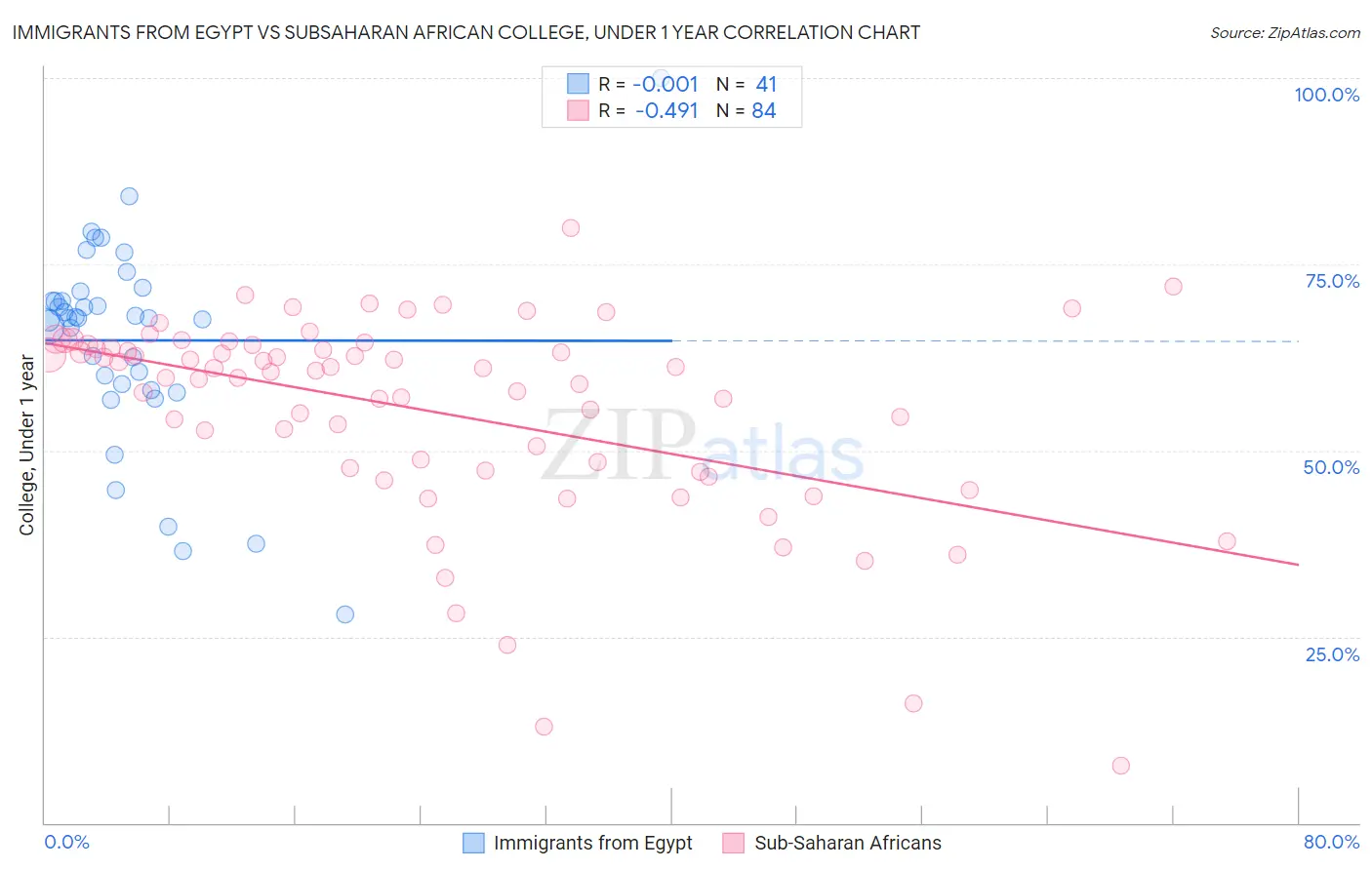 Immigrants from Egypt vs Subsaharan African College, Under 1 year