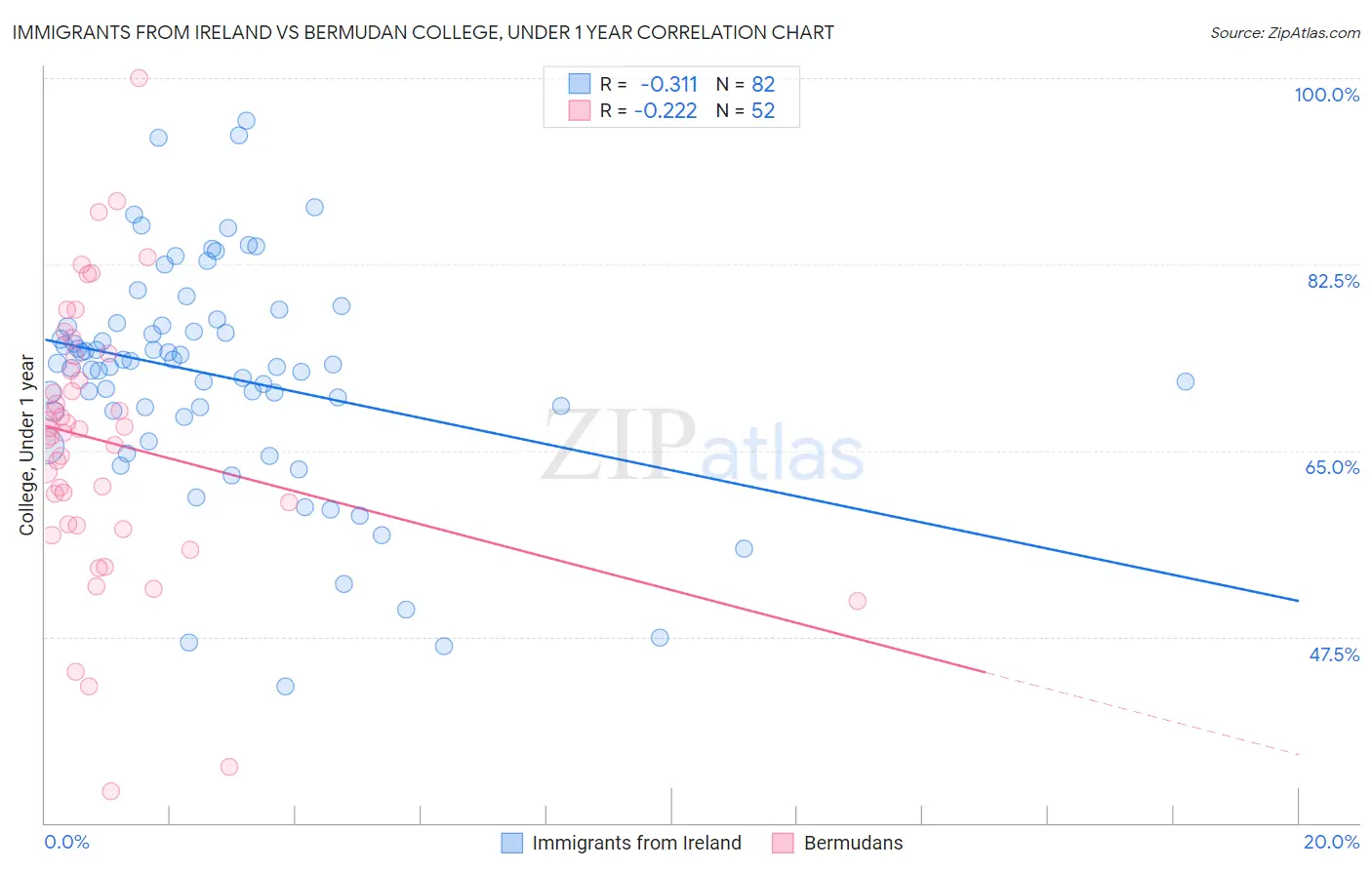 Immigrants from Ireland vs Bermudan College, Under 1 year