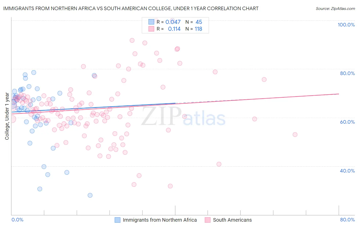 Immigrants from Northern Africa vs South American College, Under 1 year