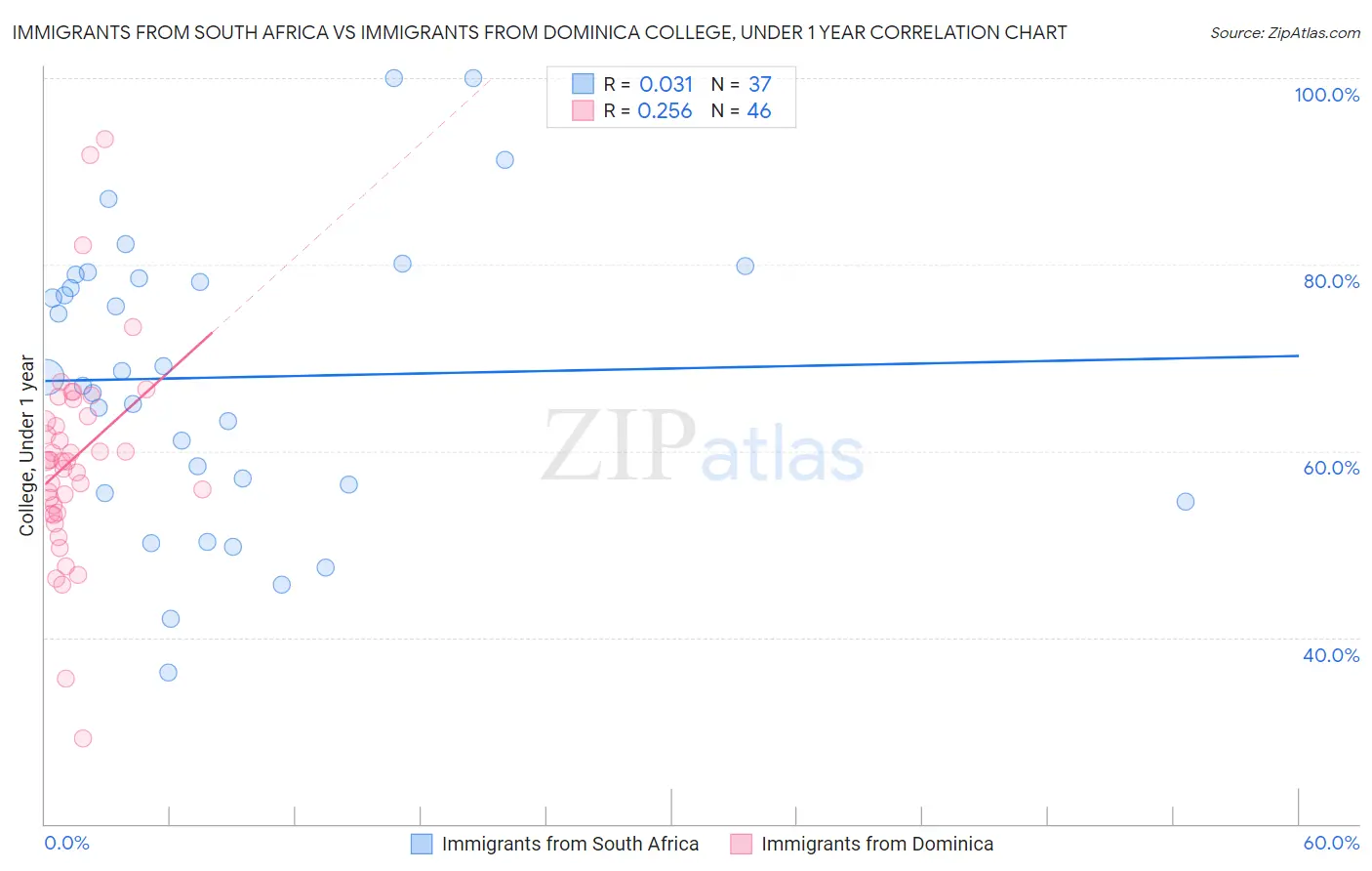 Immigrants from South Africa vs Immigrants from Dominica College, Under 1 year