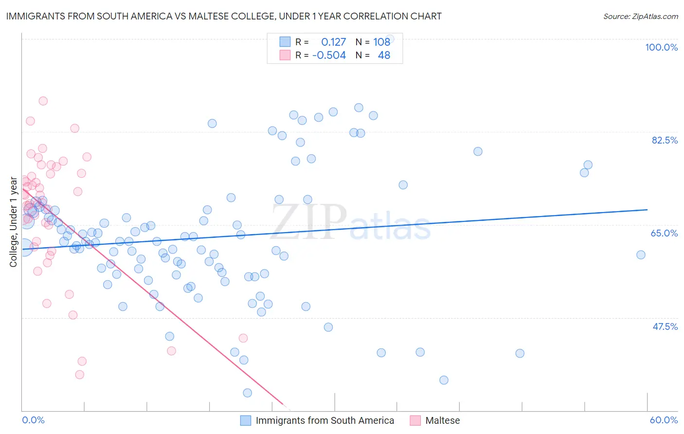 Immigrants from South America vs Maltese College, Under 1 year