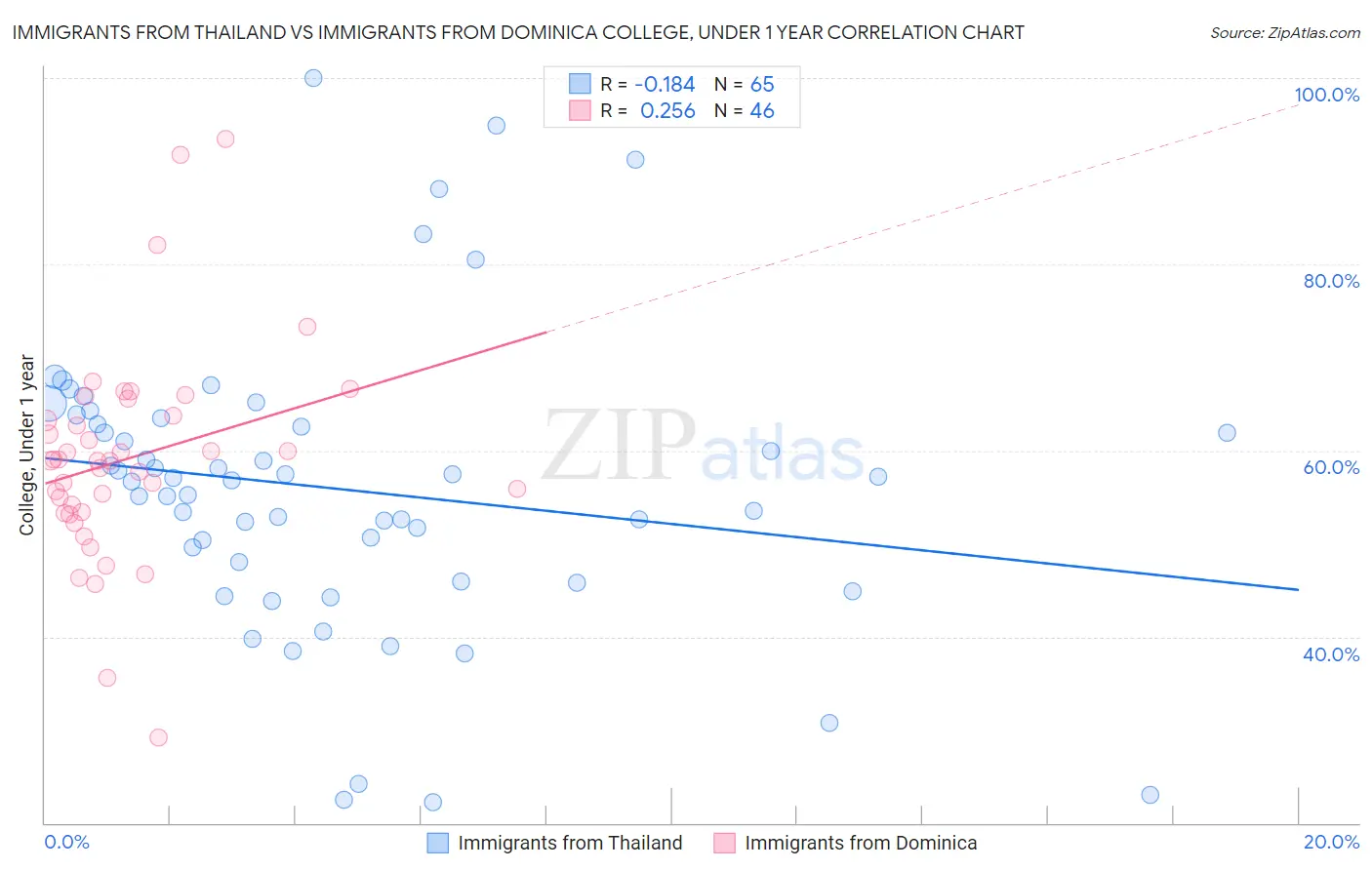 Immigrants from Thailand vs Immigrants from Dominica College, Under 1 year