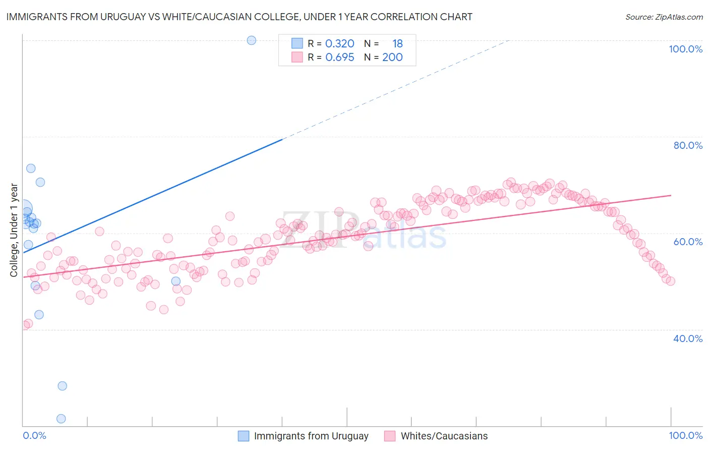Immigrants from Uruguay vs White/Caucasian College, Under 1 year