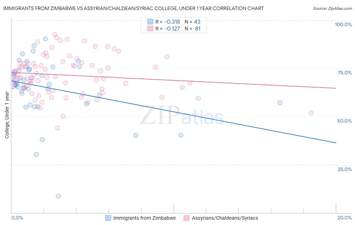 Immigrants from Zimbabwe vs Assyrian/Chaldean/Syriac College, Under 1 year