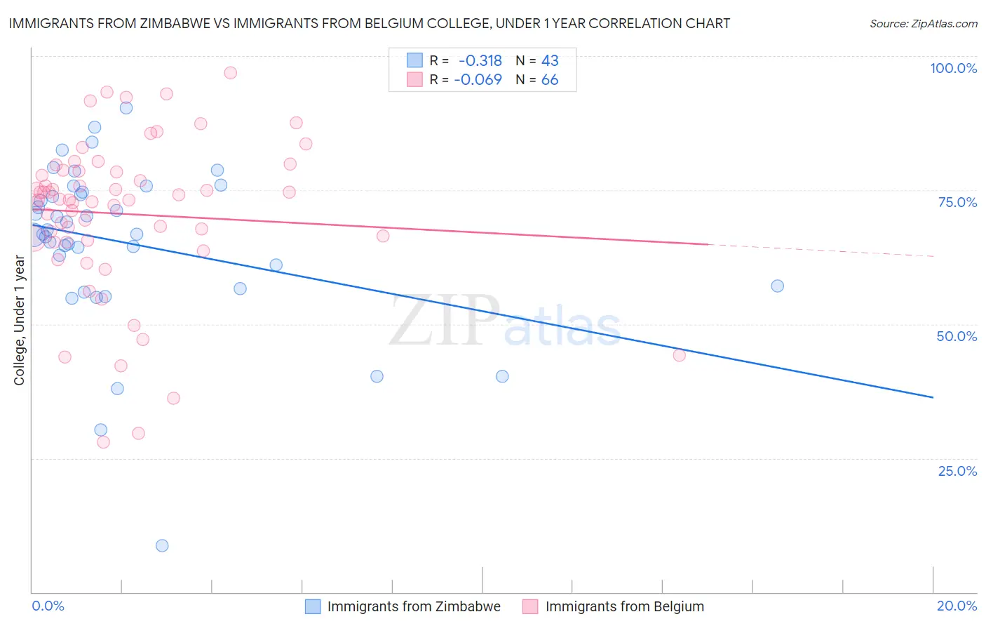 Immigrants from Zimbabwe vs Immigrants from Belgium College, Under 1 year