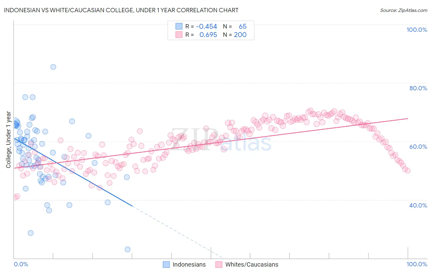 Indonesian vs White/Caucasian College, Under 1 year