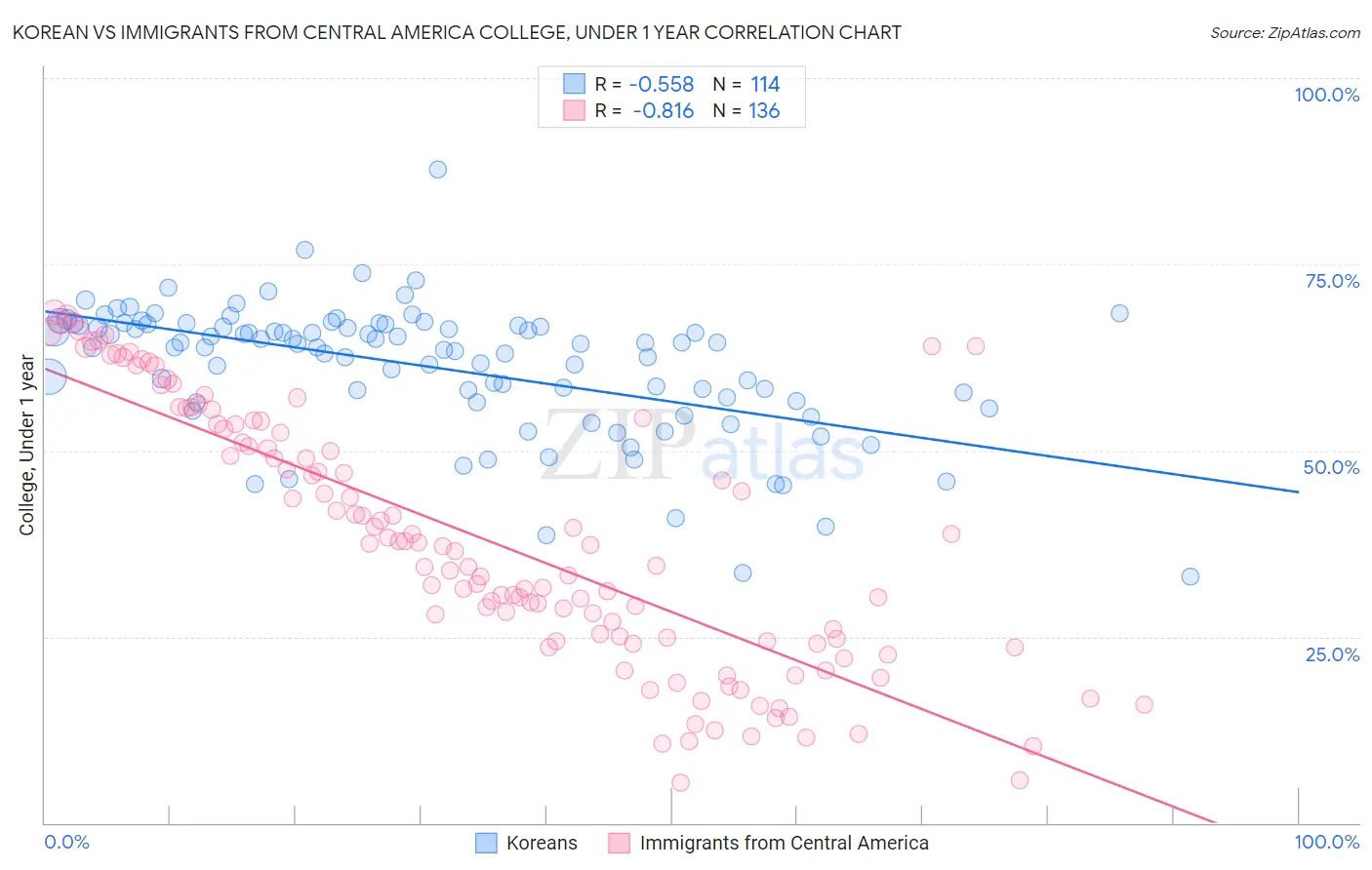 Korean vs Immigrants from Central America College, Under 1 year