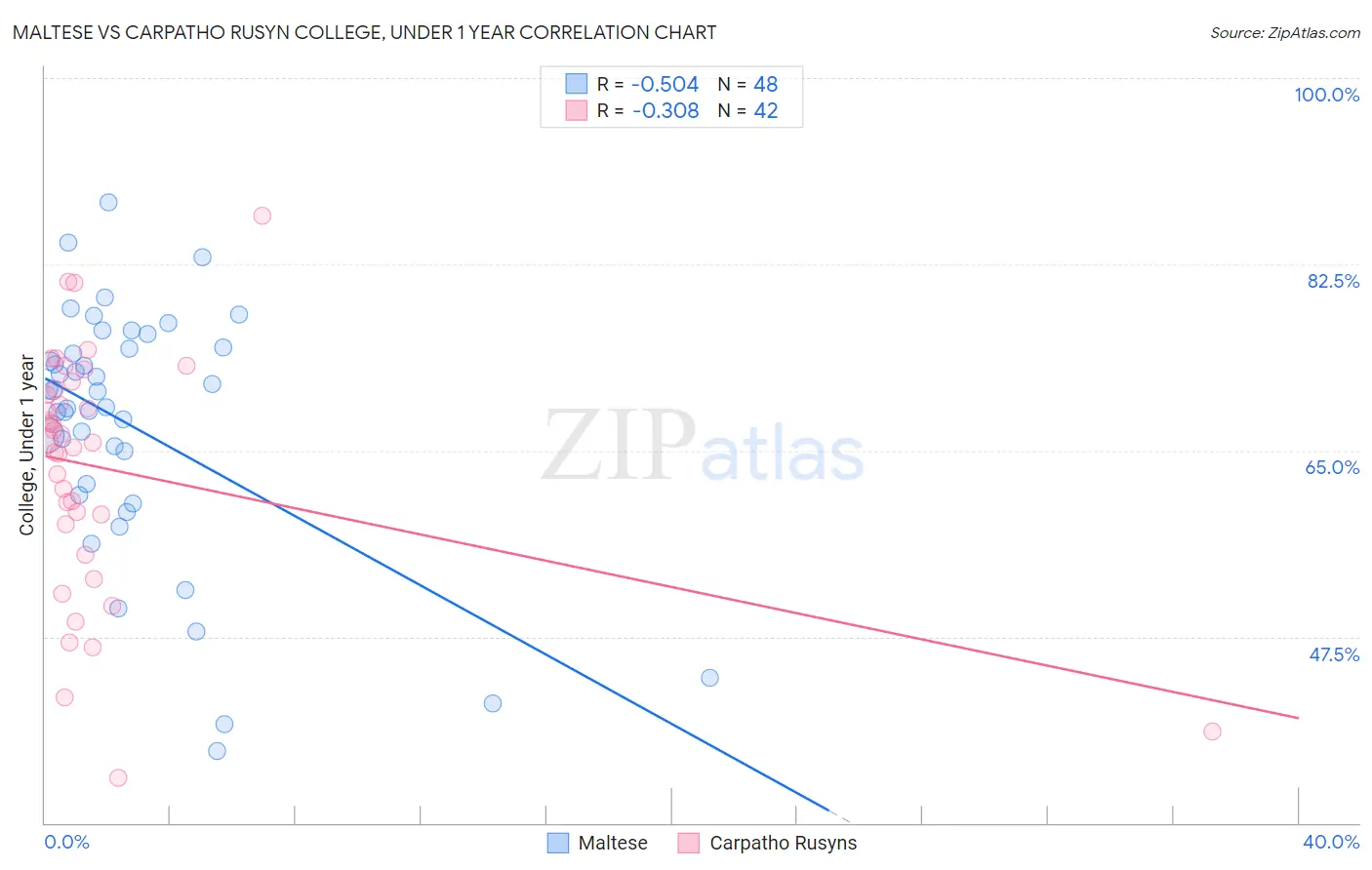 Maltese vs Carpatho Rusyn College, Under 1 year