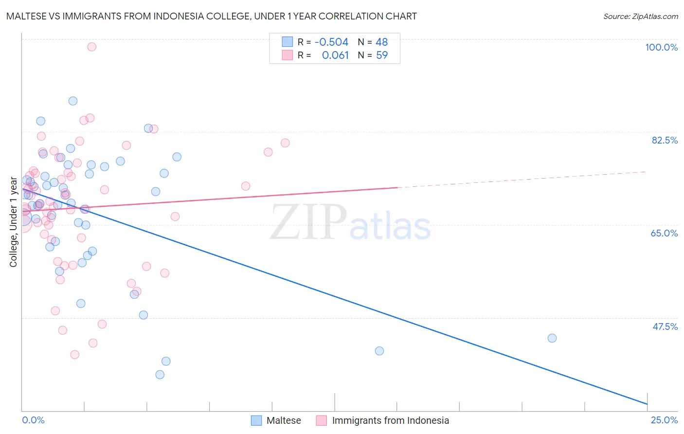 Maltese vs Immigrants from Indonesia College, Under 1 year