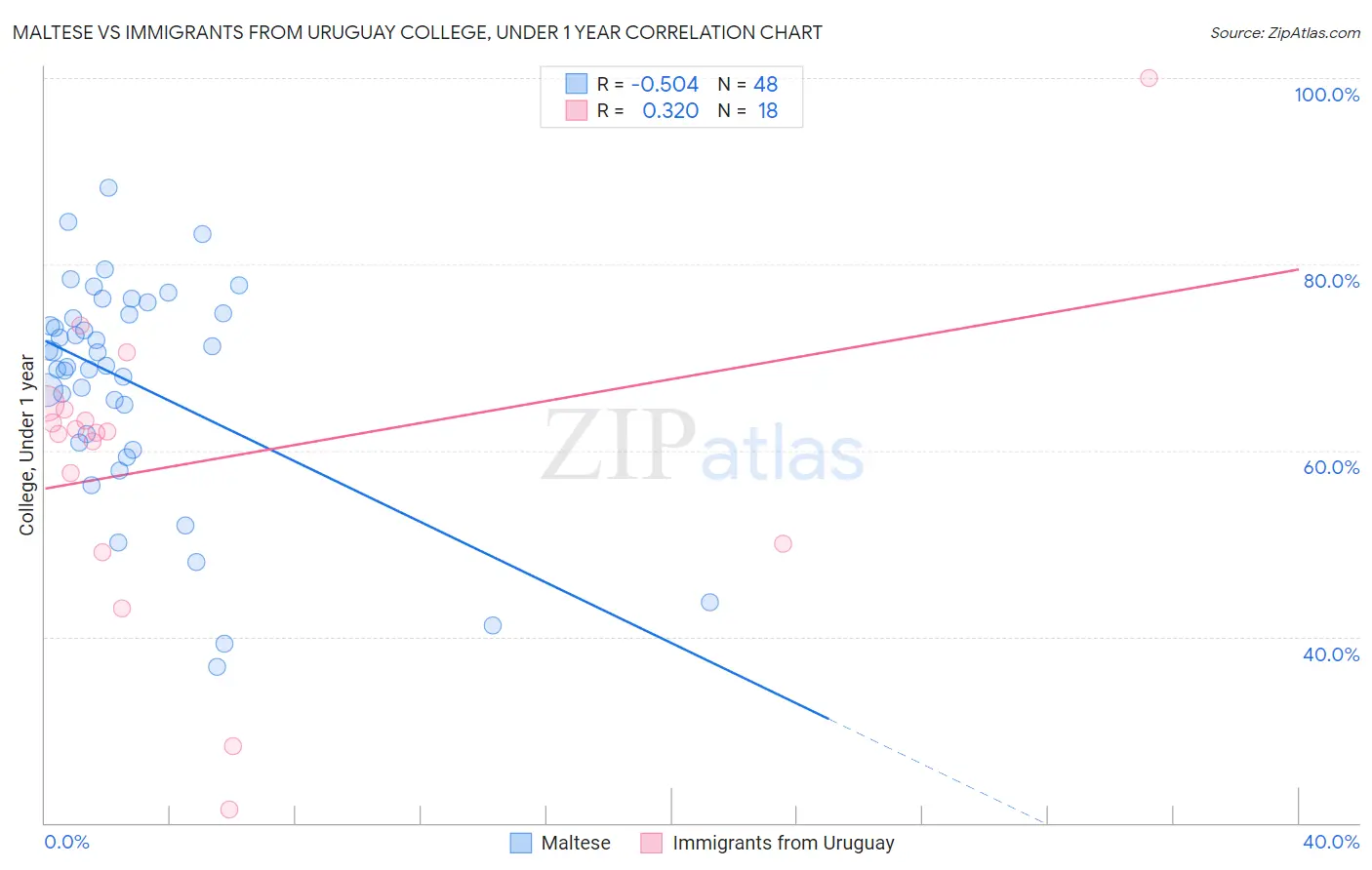Maltese vs Immigrants from Uruguay College, Under 1 year