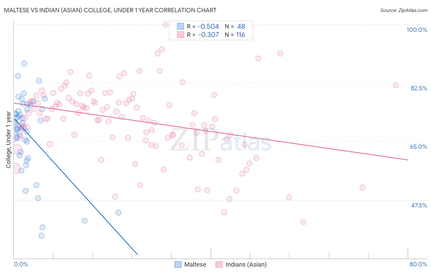 Maltese vs Indian (Asian) College, Under 1 year