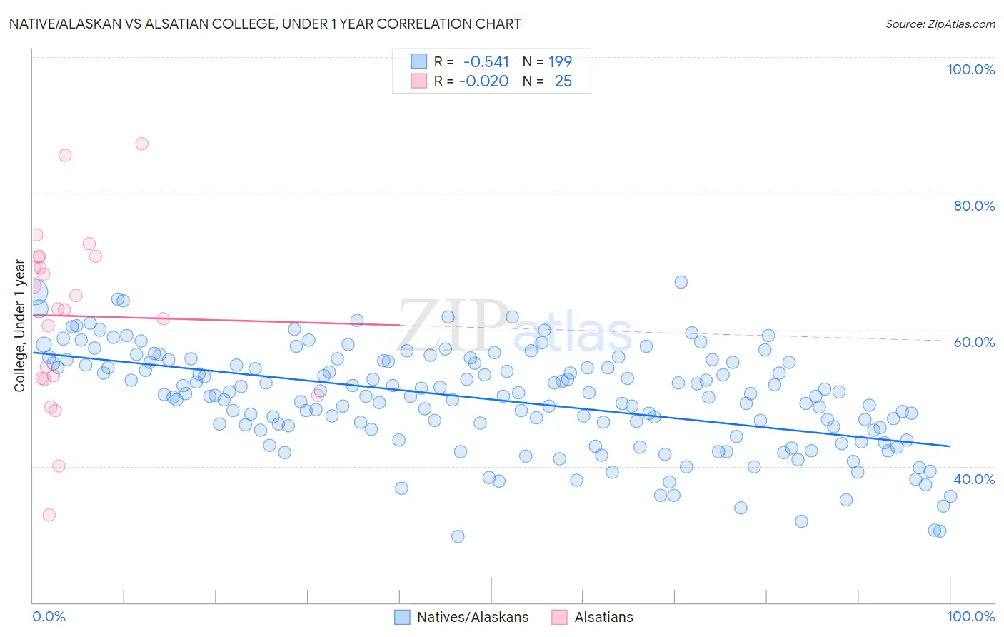 Native/Alaskan vs Alsatian College, Under 1 year