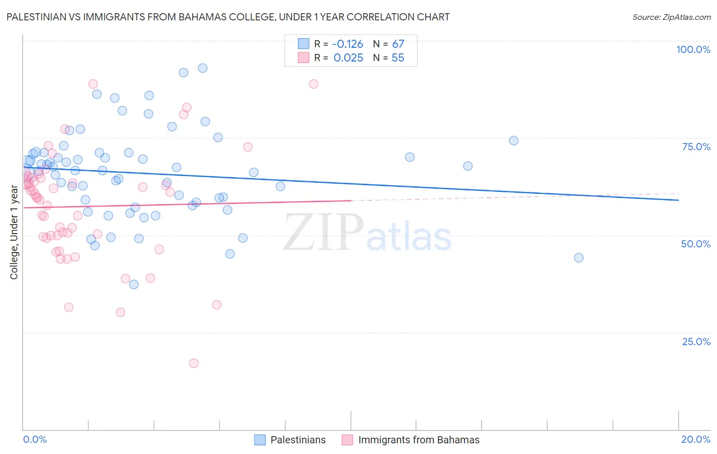 Palestinian vs Immigrants from Bahamas College, Under 1 year