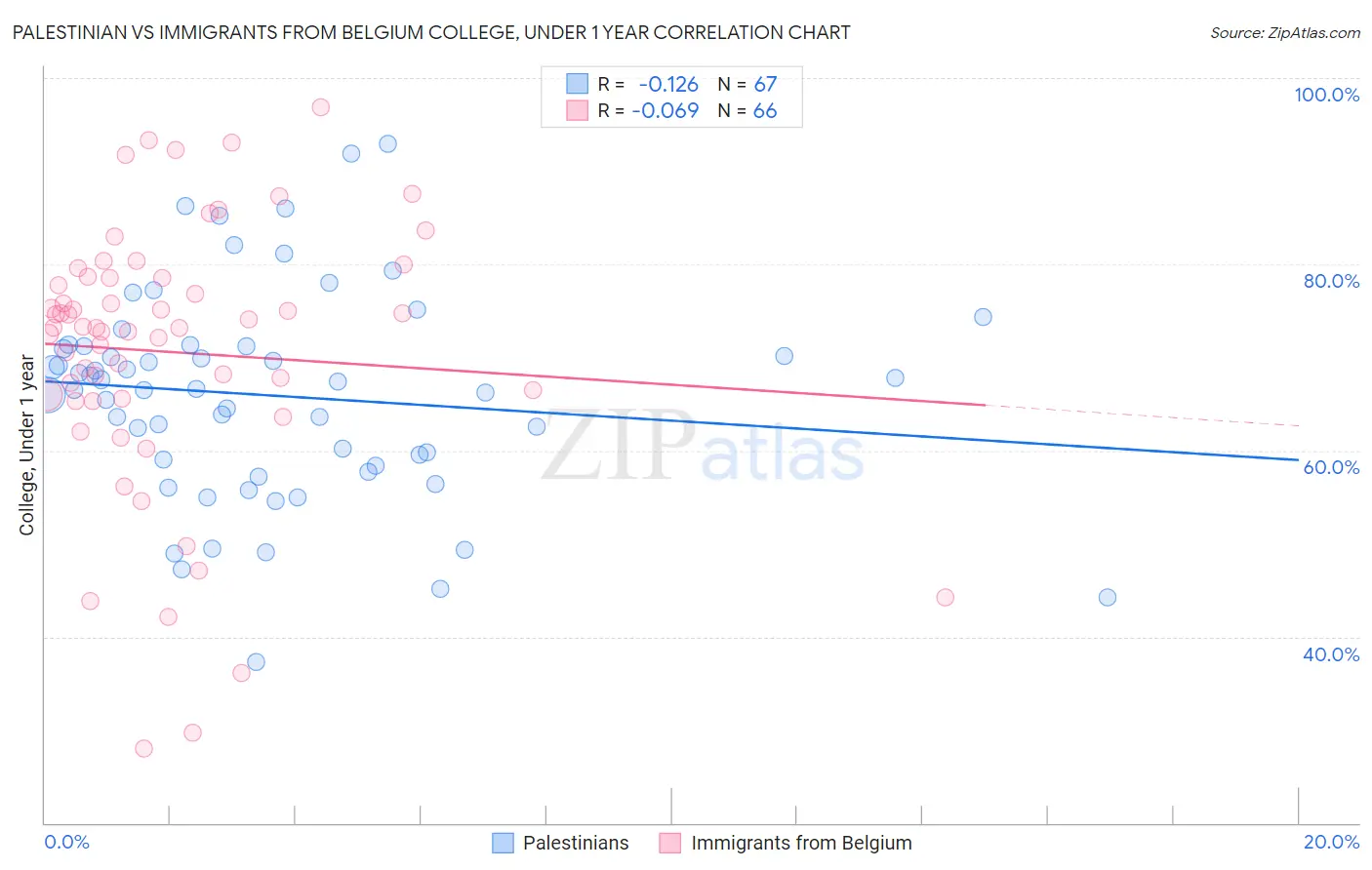 Palestinian vs Immigrants from Belgium College, Under 1 year
