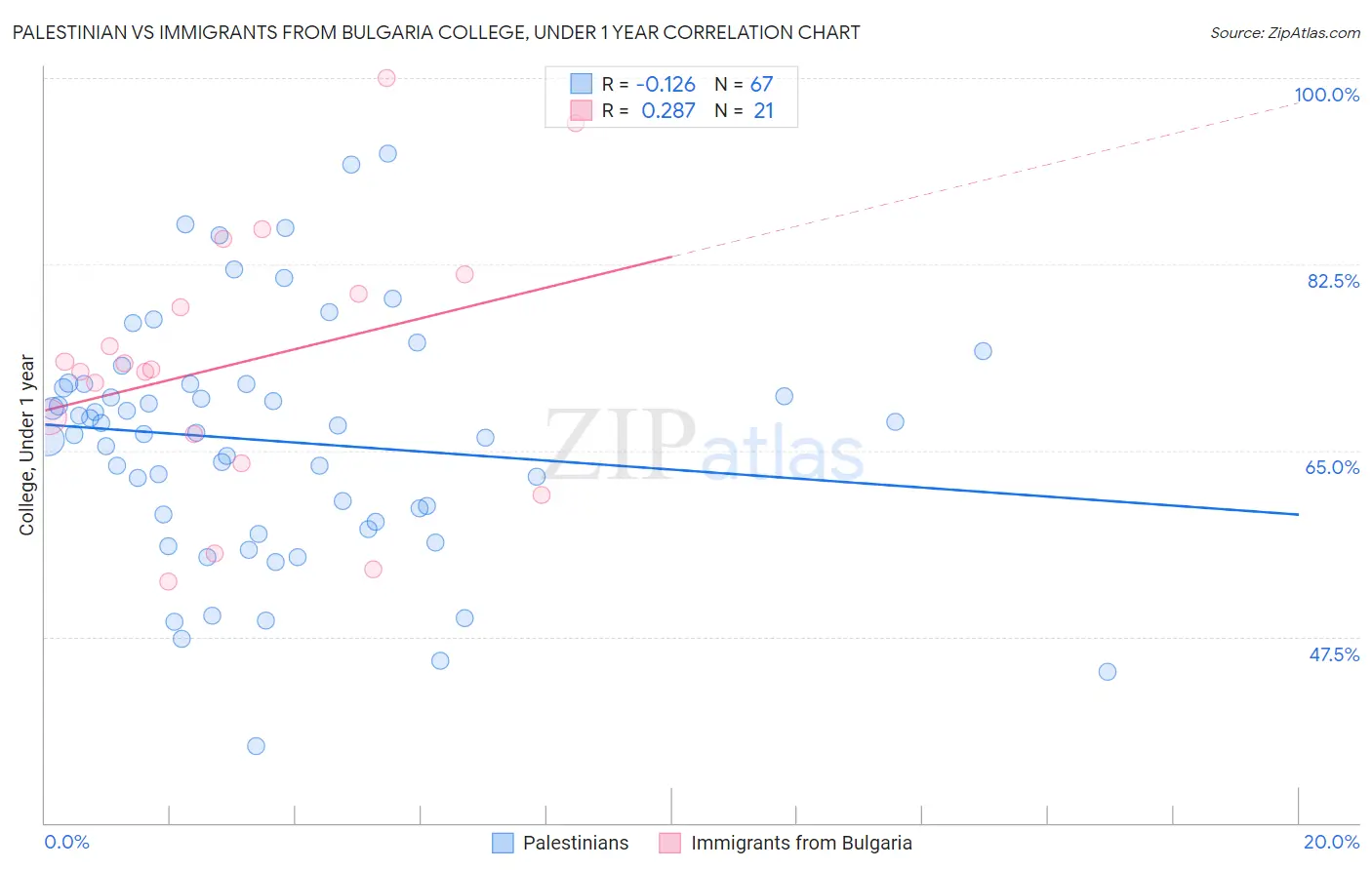 Palestinian vs Immigrants from Bulgaria College, Under 1 year