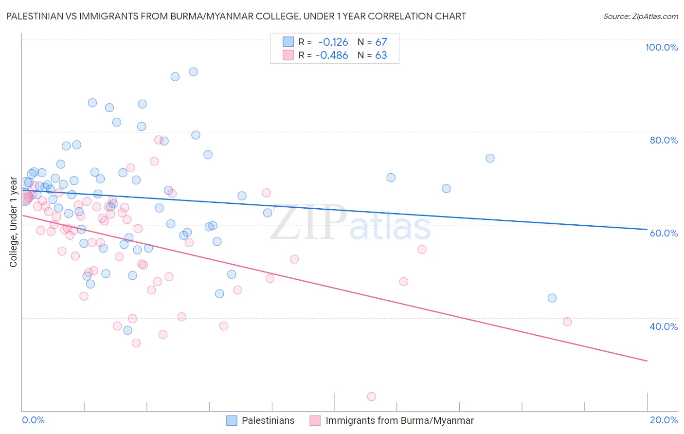 Palestinian vs Immigrants from Burma/Myanmar College, Under 1 year