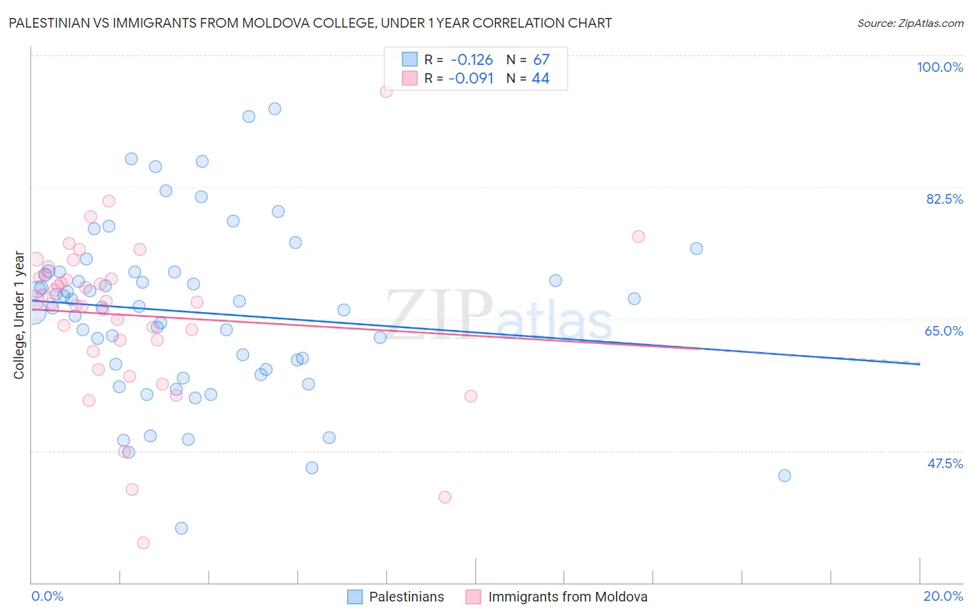 Palestinian vs Immigrants from Moldova College, Under 1 year