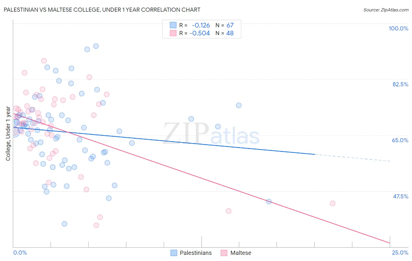 Palestinian vs Maltese College, Under 1 year