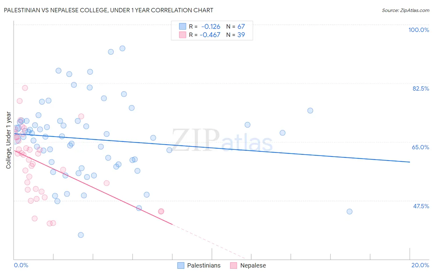 Palestinian vs Nepalese College, Under 1 year