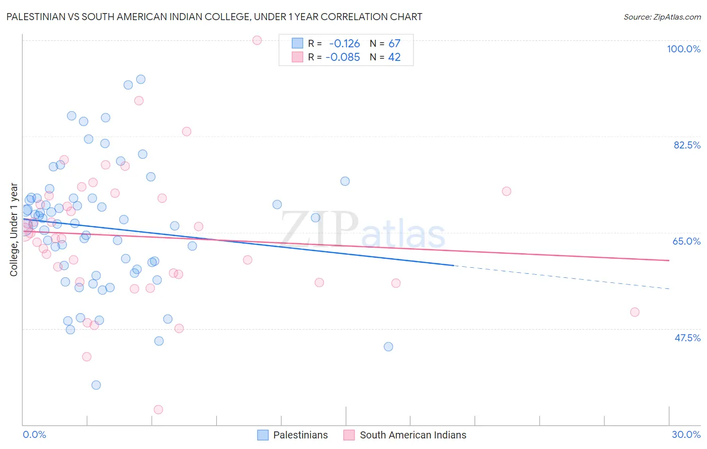 Palestinian vs South American Indian College, Under 1 year